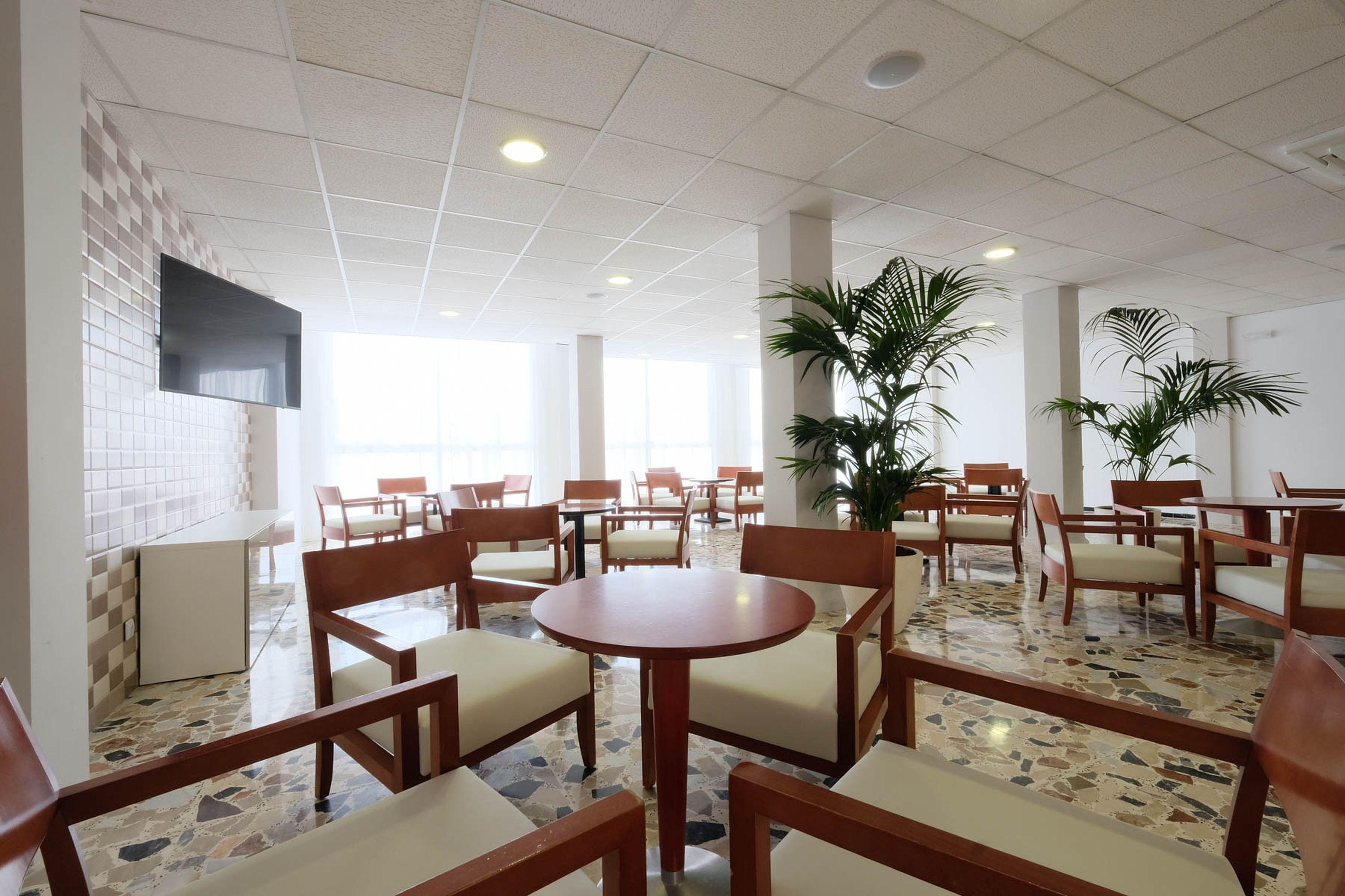 Azuline Hotel Palmanova Garden Extérieur photo